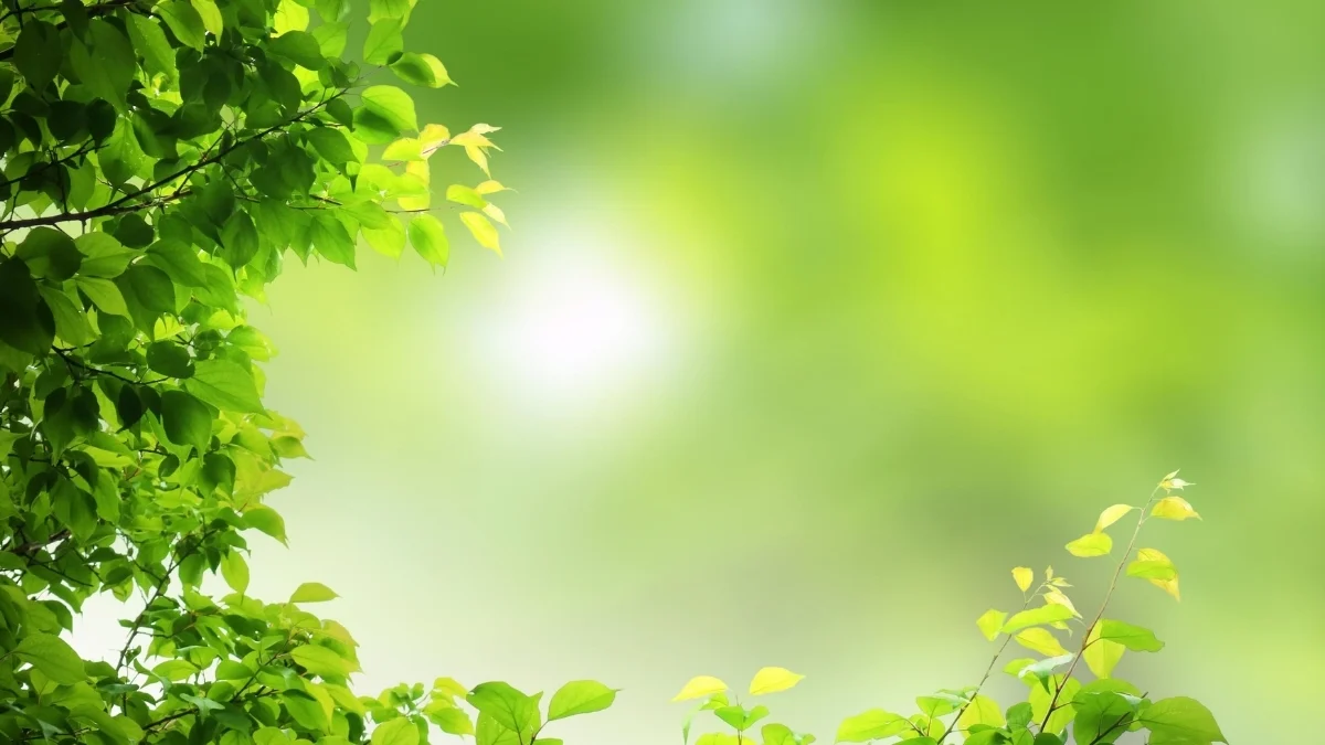 circular business models 