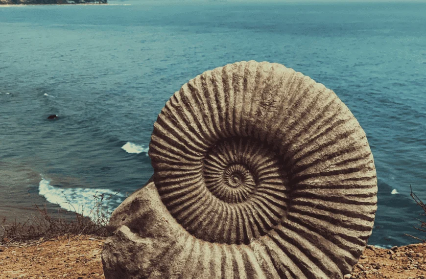 Circular vs. Sustainable Business: What’s the Difference?